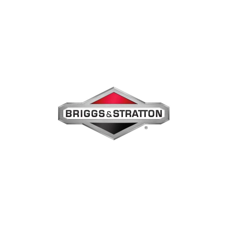foto del prodotto molla regolatore sprint originale briggs stratton 262760