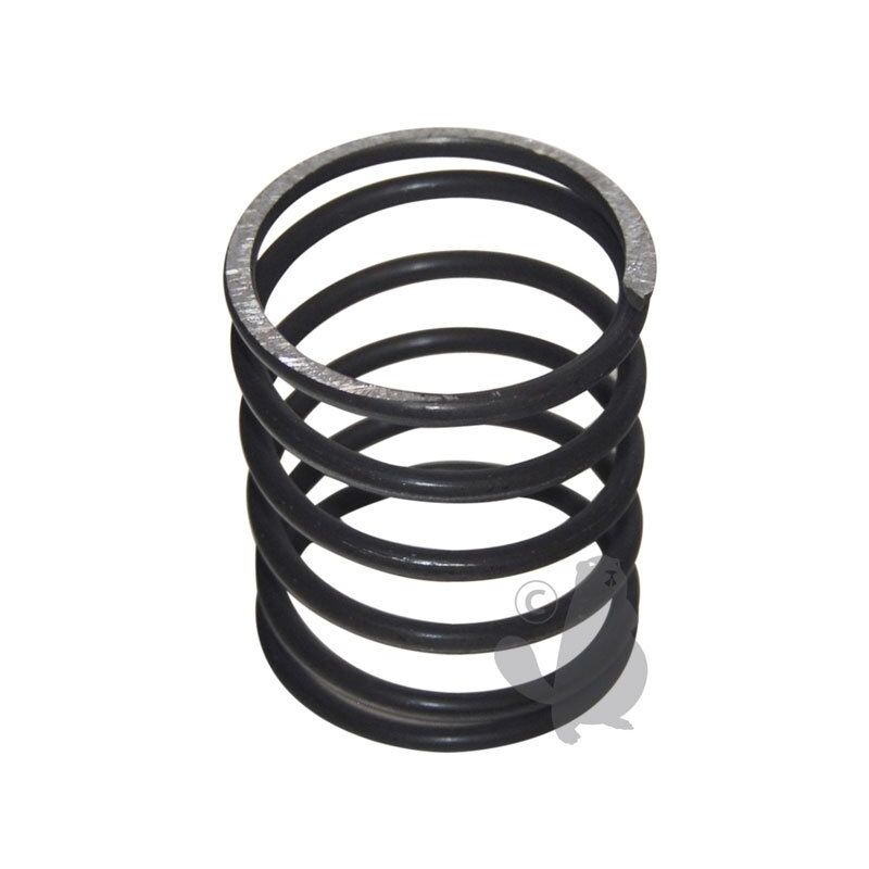 foto del prodotto molla rif 1602559 compatibile universale