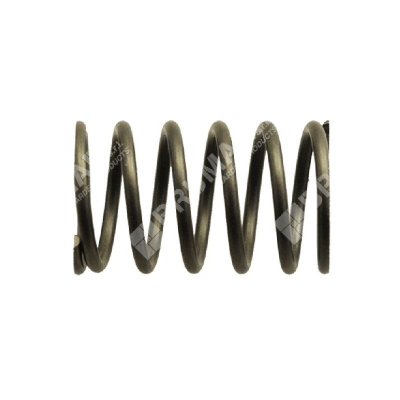 foto del prodotto molla valvole per motori kawasaki compatibile - 017477