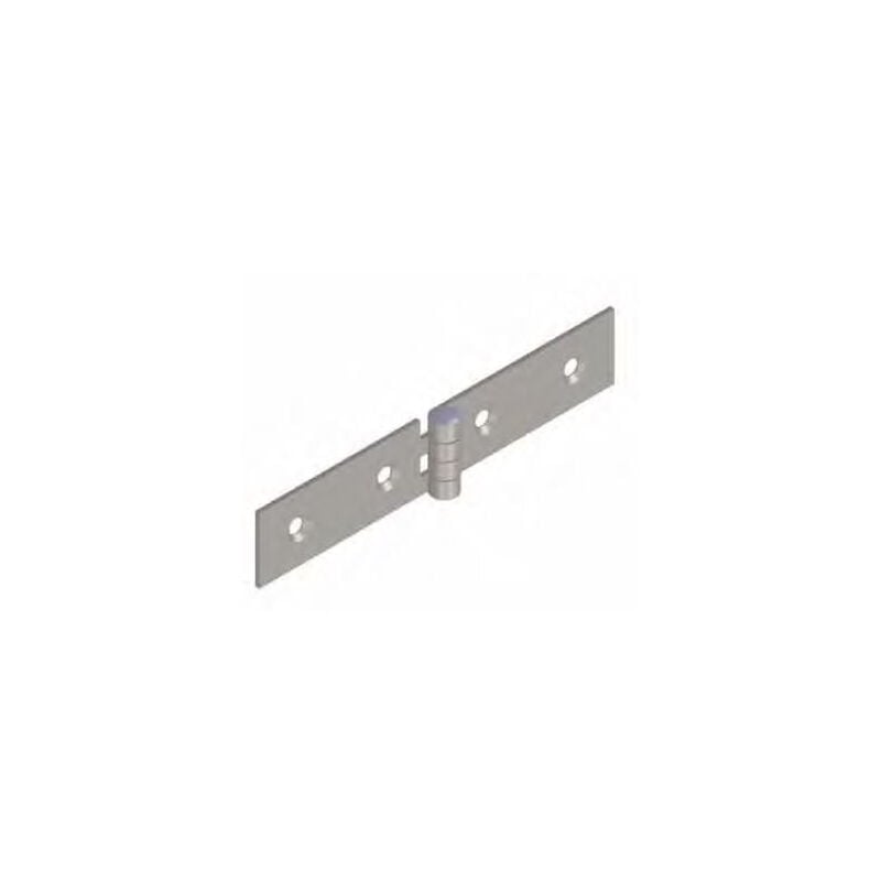 foto del prodotto monin cerniera per guida letto 1012 in acciaio decapato 22x100 426890