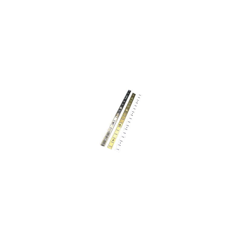 foto del prodotto monin cremagliera sas acciaio ottonato larghezza 16 mm barra da 2 ml 270701