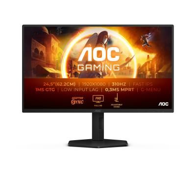 foto del prodotto monitor 25 ips 300hz gaming reg