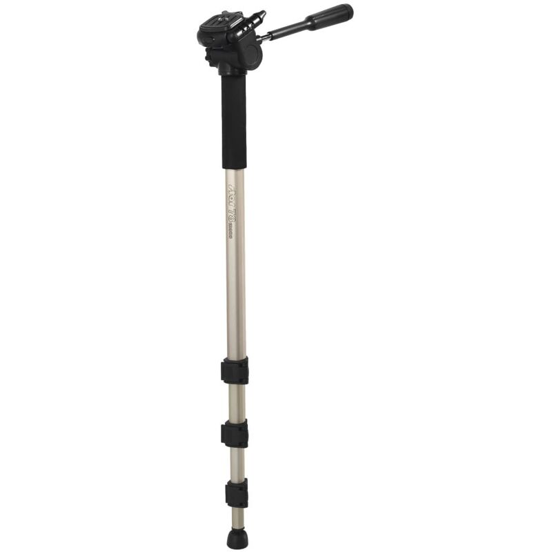 foto del prodotto monopiede star 78 mono con borsa 61 176 cm , champagne hama