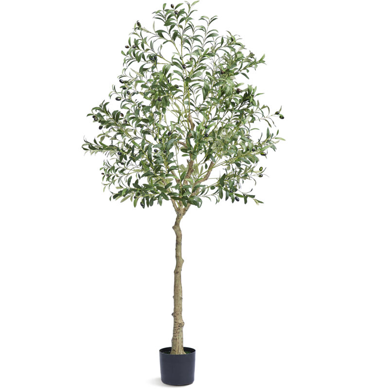 foto del prodotto mophorn ulivo artificiale pianta finta alta 1,8 m, materiale pe sicuro, protezione anti tappo, albero finto verde realistico in vaso per la casa,