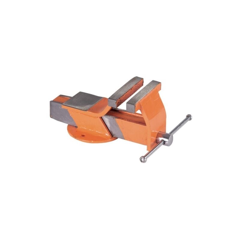 foto del prodotto morsa acciaio brixo maciste mm.80