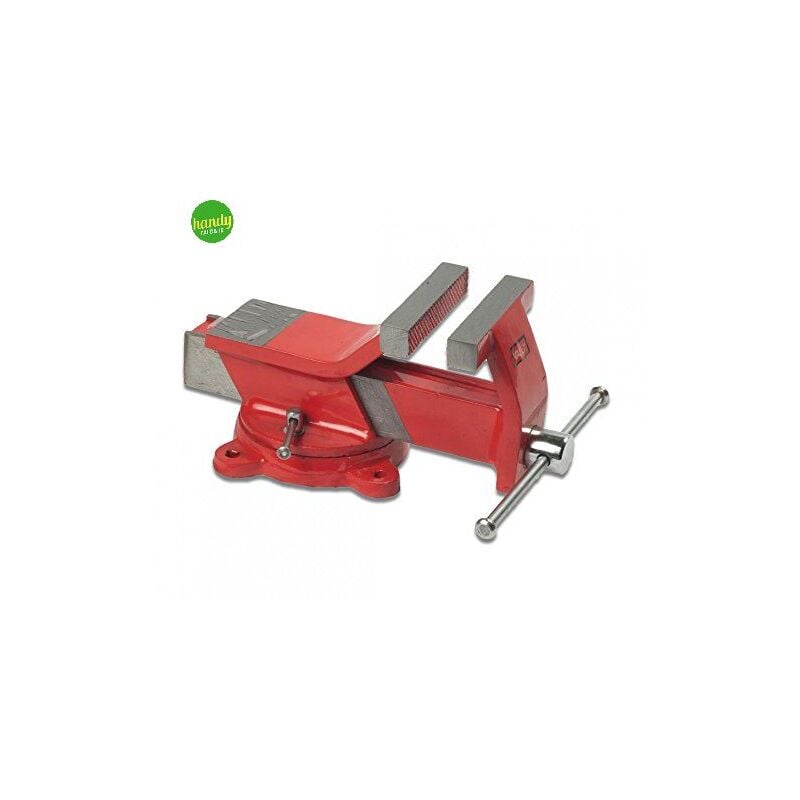 foto del prodotto morsa acciaio valex con piano incudine e ganasce 100 mm