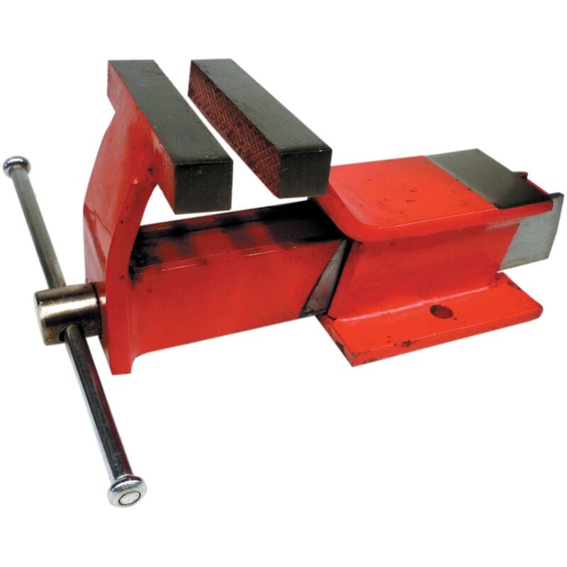 foto del prodotto morsa da banco fissa tekna mm.100 rif.80280 pz 1,0