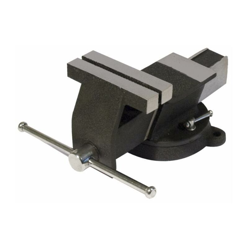 foto del prodotto morsa da banco in acciaio con base girevole 125mm
