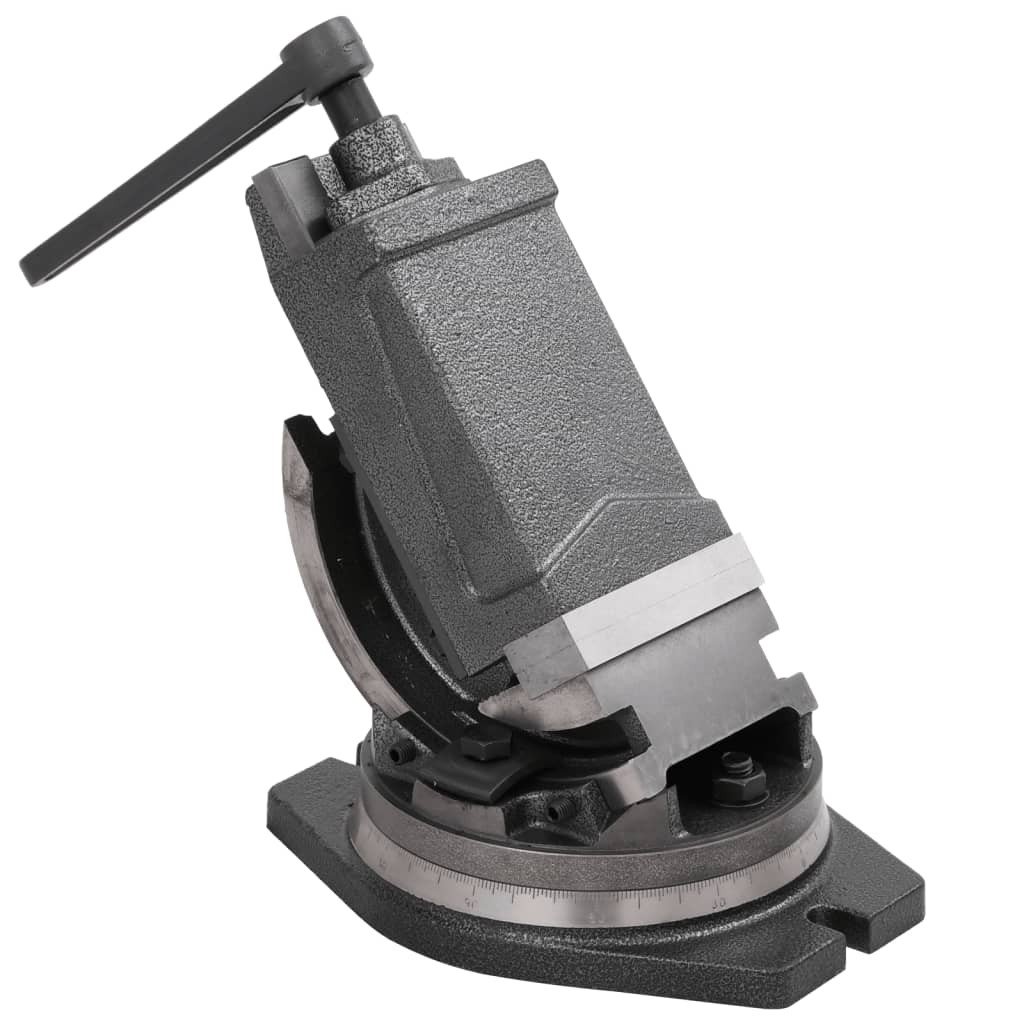 foto del prodotto morsa inclinabile a 2 assi 100 mm cod mxl 40259