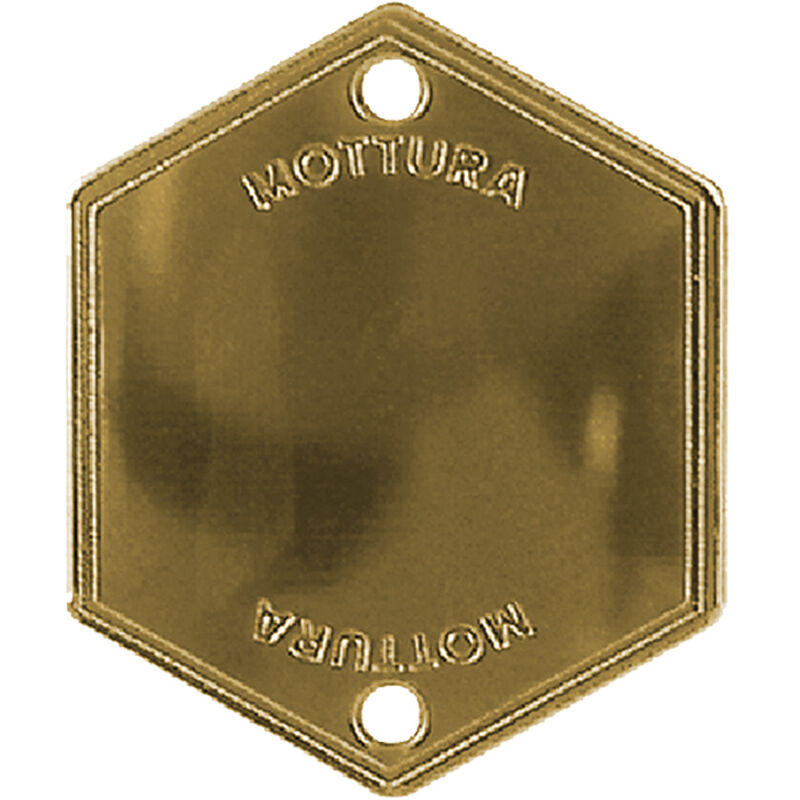 foto del prodotto mostrina copriforo art.95146 finitura argento