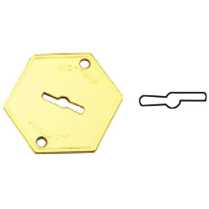 foto del prodotto mostrina esterna in ottone 95215 mm.52x64 95215000c1 