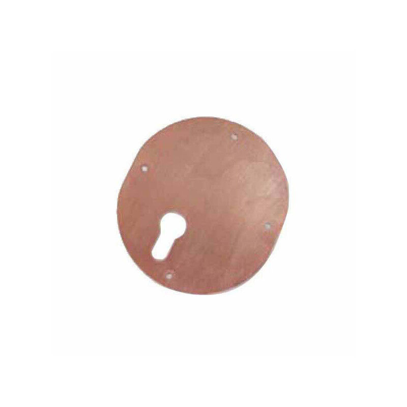 foto del prodotto mostrina interna ovale sx bronzata 95441 mottura