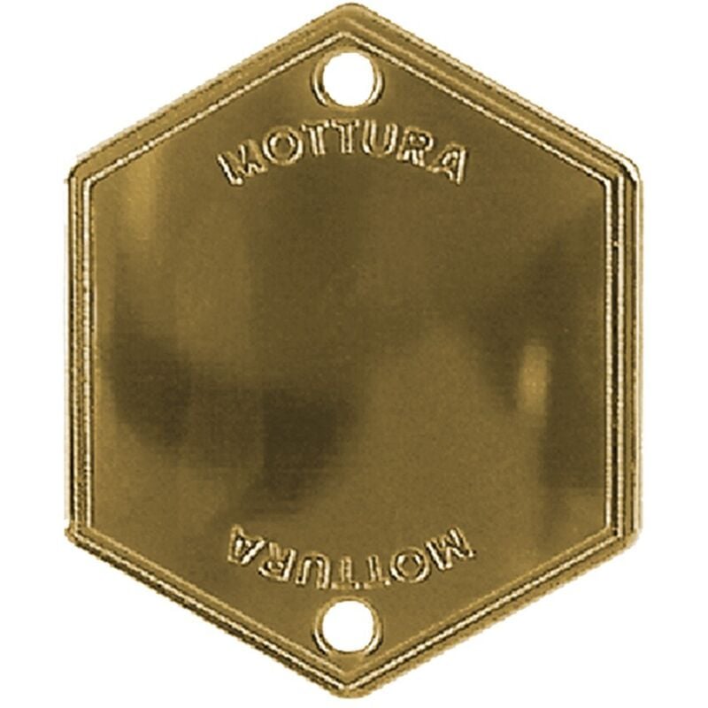 foto del prodotto mostrina mottura bronzo ottonata