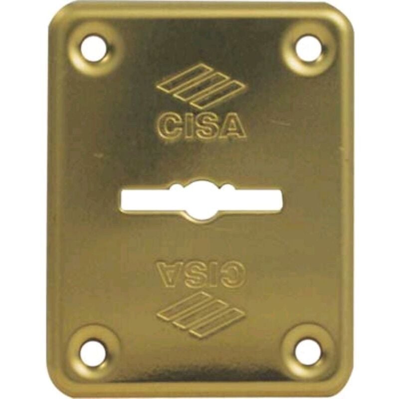 foto del prodotto mostrina rettangolare doppia mappa 06082 cisa ottone mm 60x46 1 pz