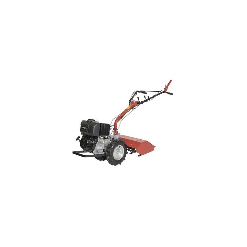 foto del prodotto motocoltivatore mf225 meccanica benassi motore kohler diesel 7,4 hp 5,5 kw