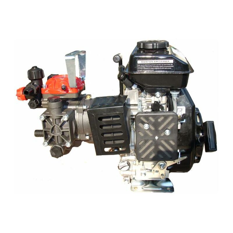 foto del prodotto motopompa a 2 membrane ar252 con motore 4 tempi