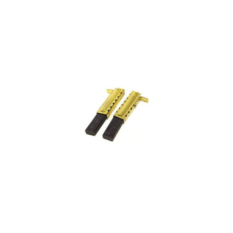 foto del prodotto motore di carbone x2 per aspirapolvere karcher 66102040