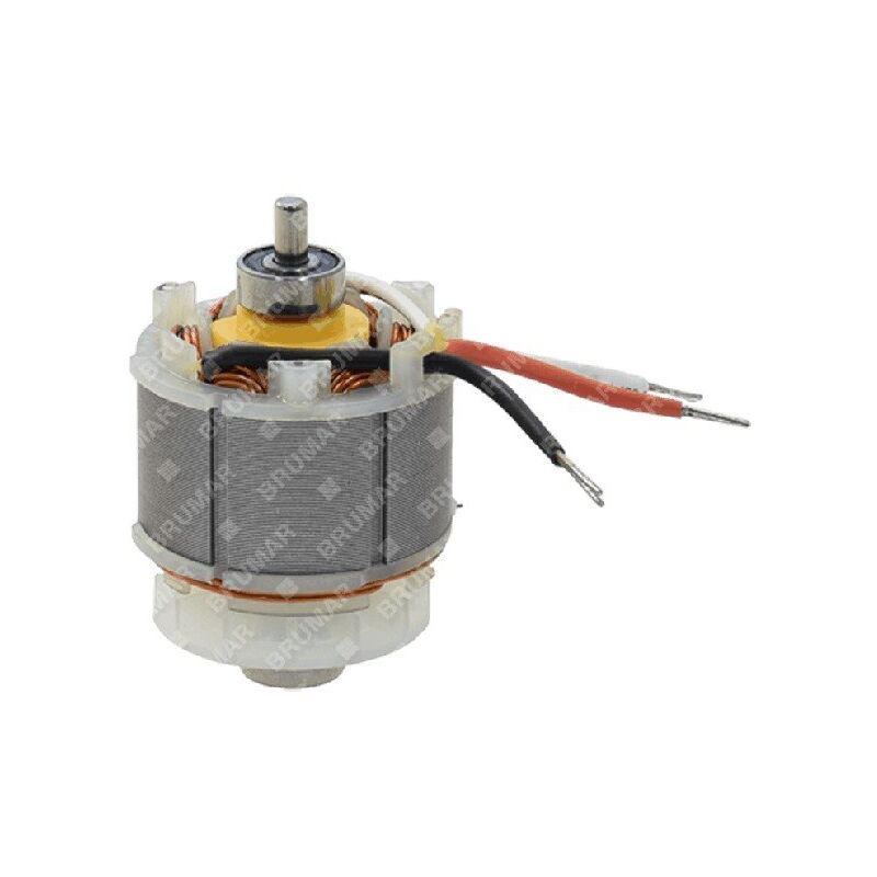 foto del prodotto motore elettrico per pruner a batteria attila compatibile 058451