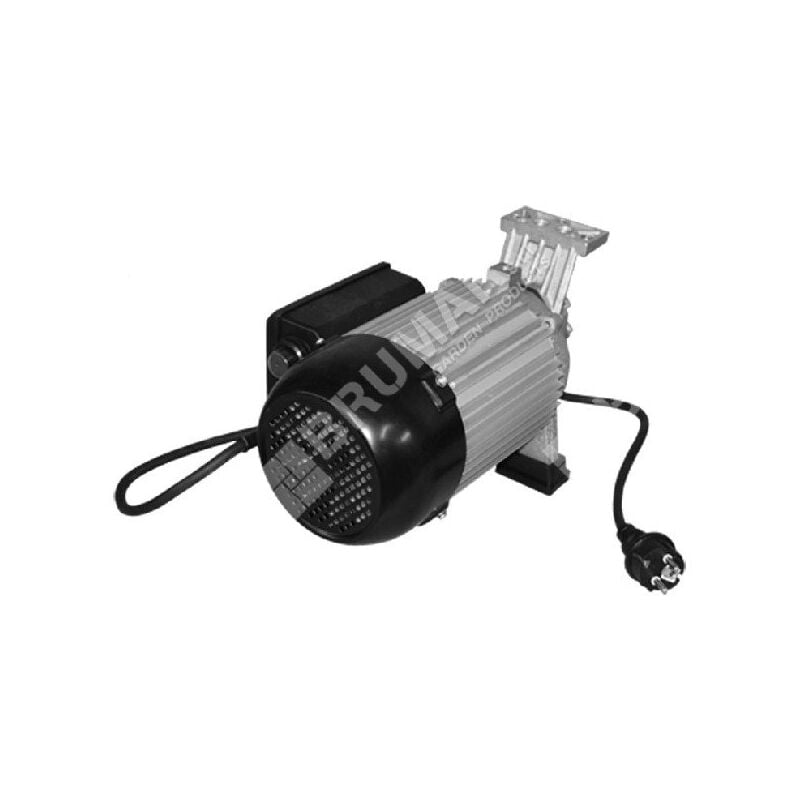 foto del prodotto motore elettrico per spaccalegna attila compatibile 049625