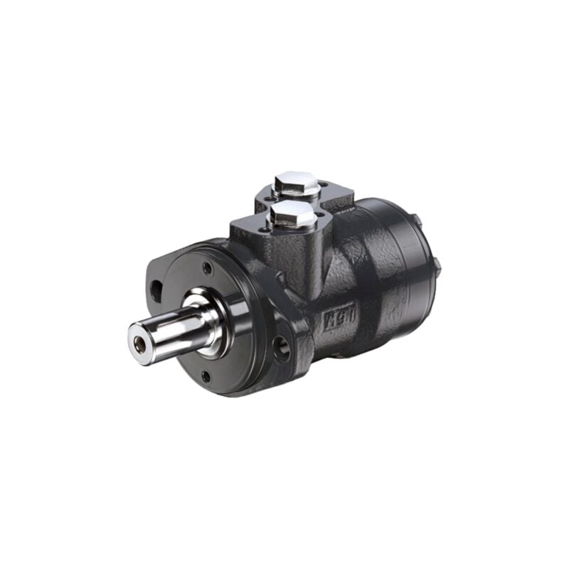 foto del prodotto motore orbitale omr x 125