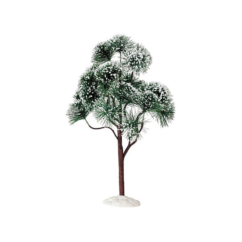 foto del prodotto mountain pine, extra large cod. 94391