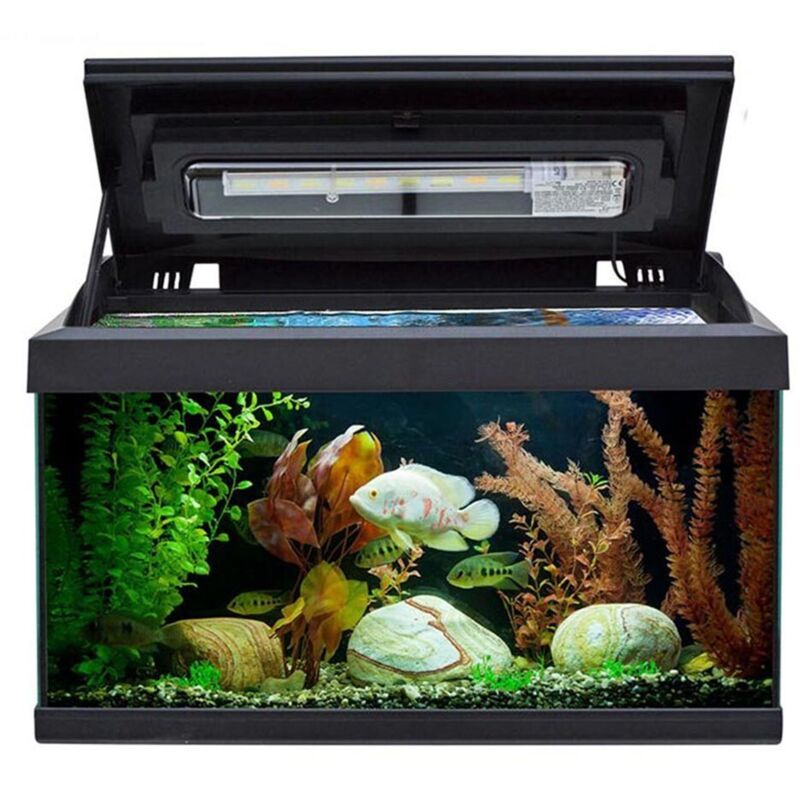 foto del prodotto mtb milo 60 ledline acquario 57l cm60x30x40h colore nero