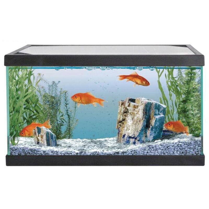 foto del prodotto mtb start up nero acquario 17l cm40,5x20,5x24,6h