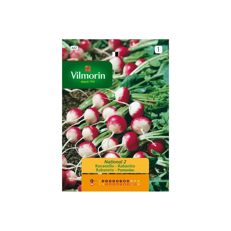 foto del prodotto multicolore rabanito seeds s 1, 4 gr vilmorin