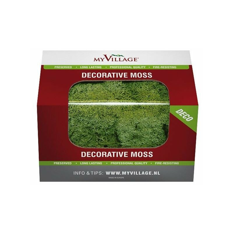foto del prodotto muschio lichene verde 50 gr