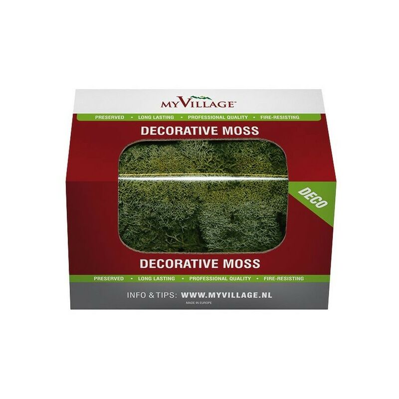 foto del prodotto muschio lichene verde scuro 50 gr