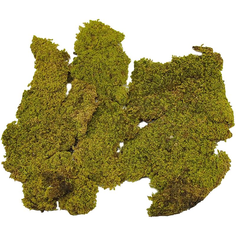 foto del prodotto muschio secco tappeto naturale per presepe 250 gr decorazione natalizia