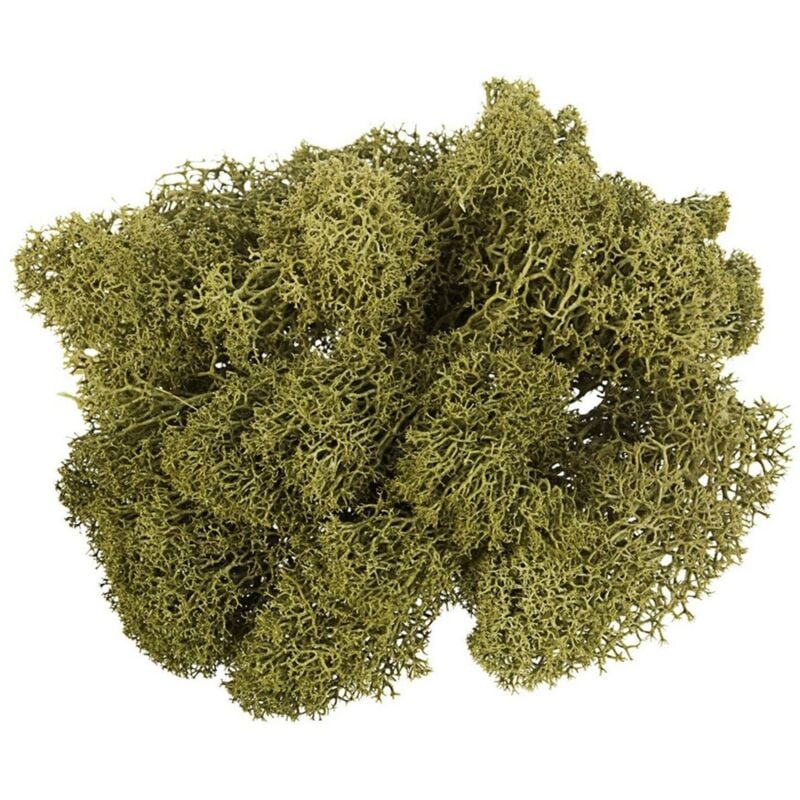 foto del prodotto myvillage muschio lichene atossico e privo di acidi per decorazioni e presepi da 500 g verde scuro