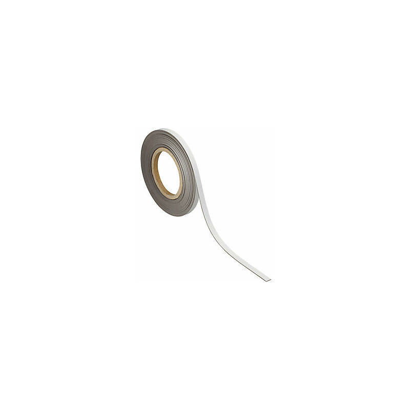 foto del prodotto nastro per etichettature magnetico rotolo da 10 m maul