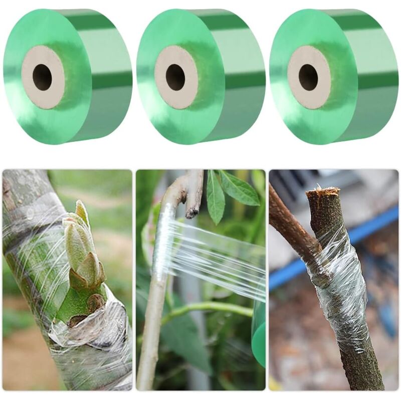 foto del prodotto nastro per innesto, 3 pezzi nastri per innesto da 100m, nastro per innesto per vivaio estensibile autoadesivo biodegradabile, nastro adesivo per innesto sicuro ed ecologico (verde)