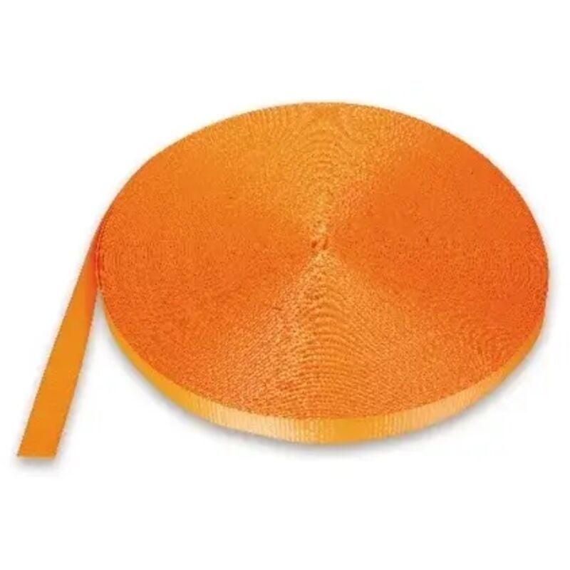 foto del prodotto nastro poliestere ancoraggio robur 8189 50 mm