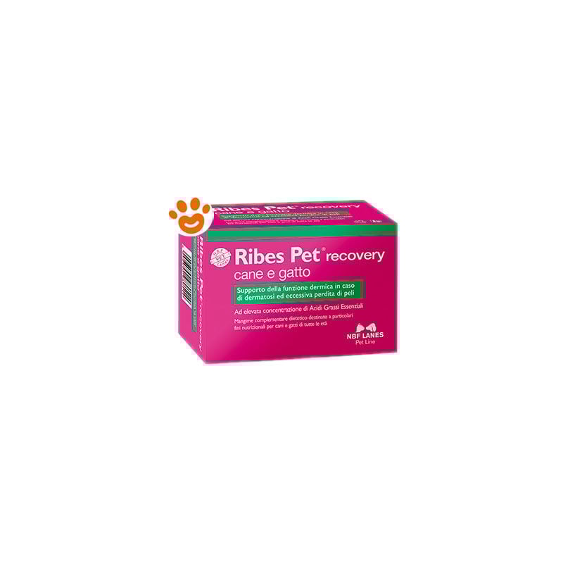 foto del prodotto nbf lanes dog e cat ribes pet perle recovery nbf lanes dog e cat ribes pet perle recovery confezione da 60 perle