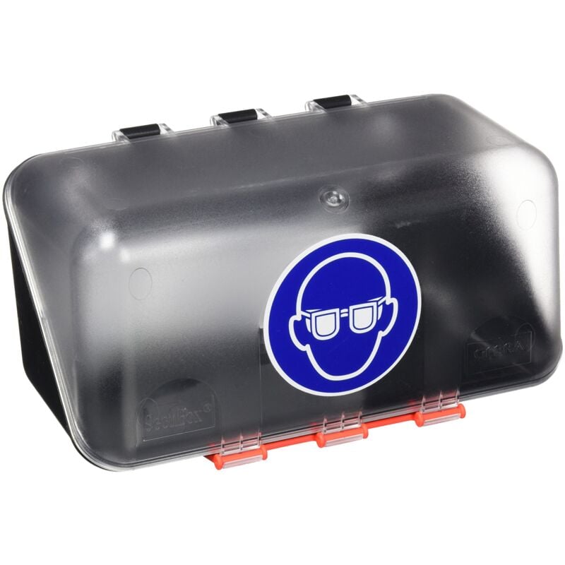 foto del prodotto neolab 2 6055 scatola per occhiali di sicurezza chiaro mini
