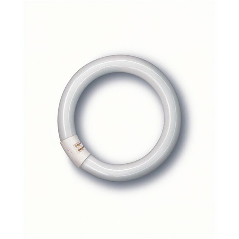 immagine 0 del prodotto neon fluorescente lumilux circolare g10q luce fredda 40w 3200 lumen cm.41