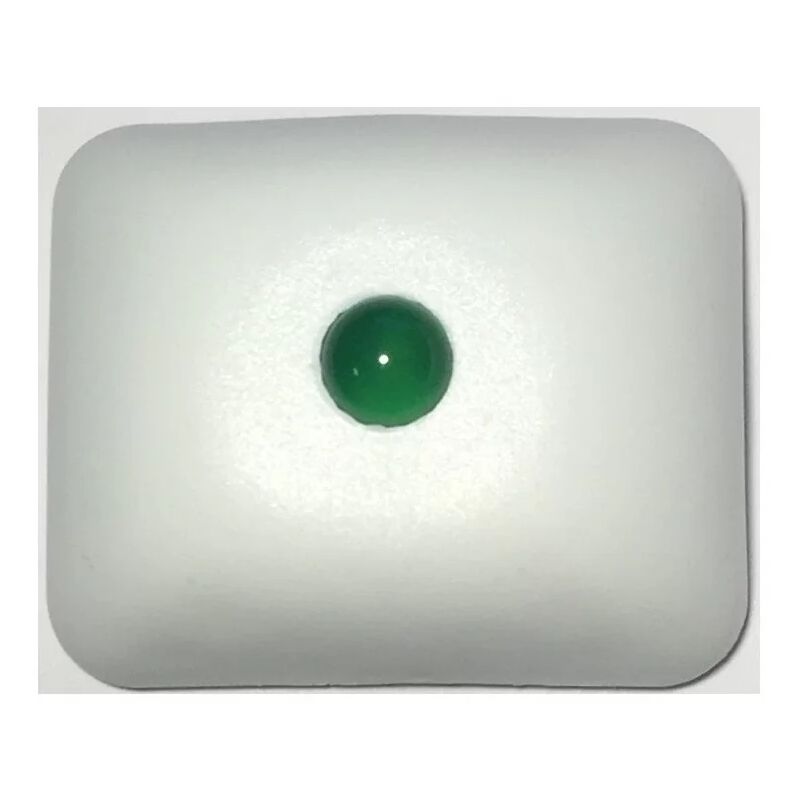 foto del prodotto neutronic niacs indicateur d action vert clignotant et sonore