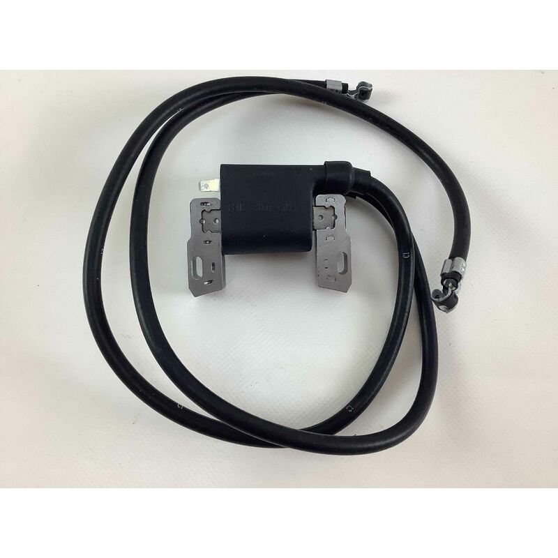 foto del prodotto newgarden bobina accensione compatibile briggs stratton motore boxer 16 18 hp twin