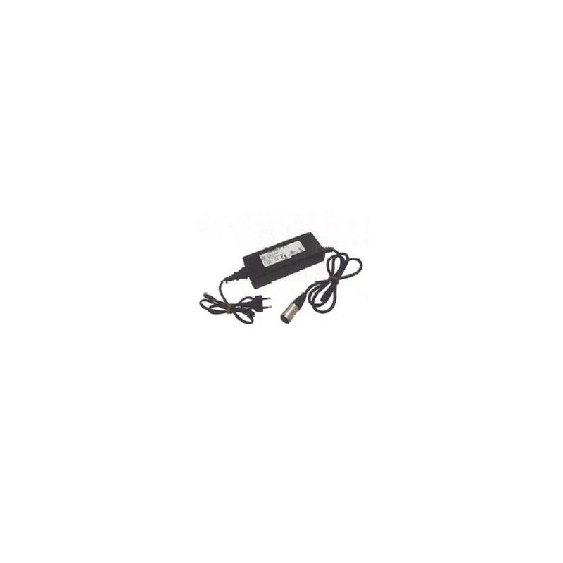 foto del prodotto newgarden caricabatterie forbice a batteria per zak 30 ni mh 4.5a n100 24 24v 017593