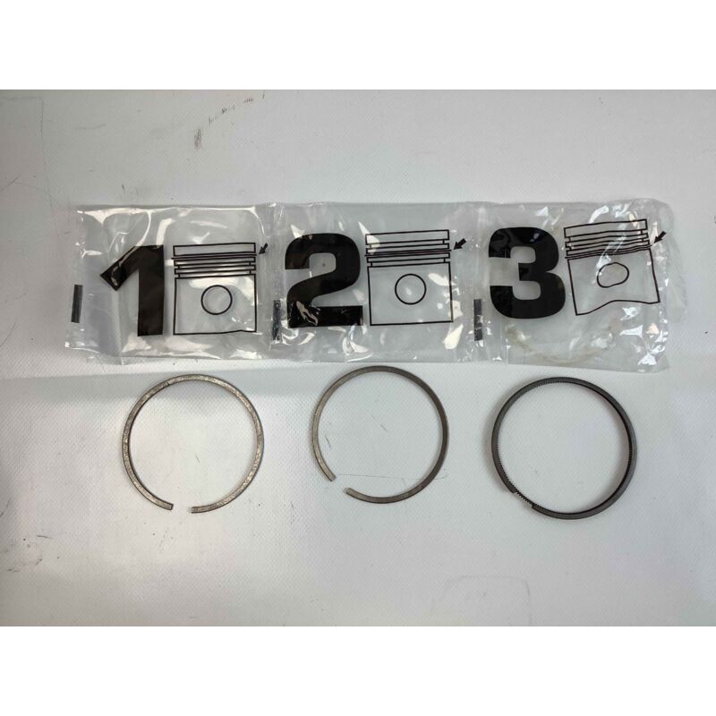 foto del prodotto newgarden kit fasce 3 segmenti 1,00 83 mm motore diesel lombardini 530 532 533 6ld360