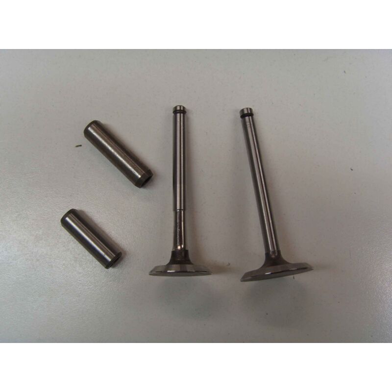 foto del prodotto newgarden kit valvole con guidavalvole motore diesel lombardini ldw1503 ldw2004