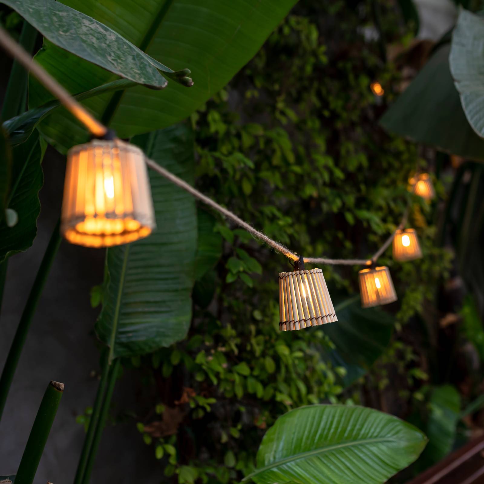 foto del prodotto newgarden okinawa ghirlanda luminosa a 10 luci 24v