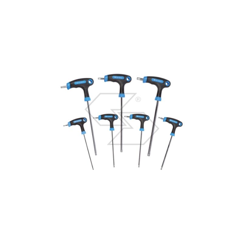 foto del prodotto newgarden set 7 chiavi acciaio zincate due teste torx impugnatura bimateriale ergonomica