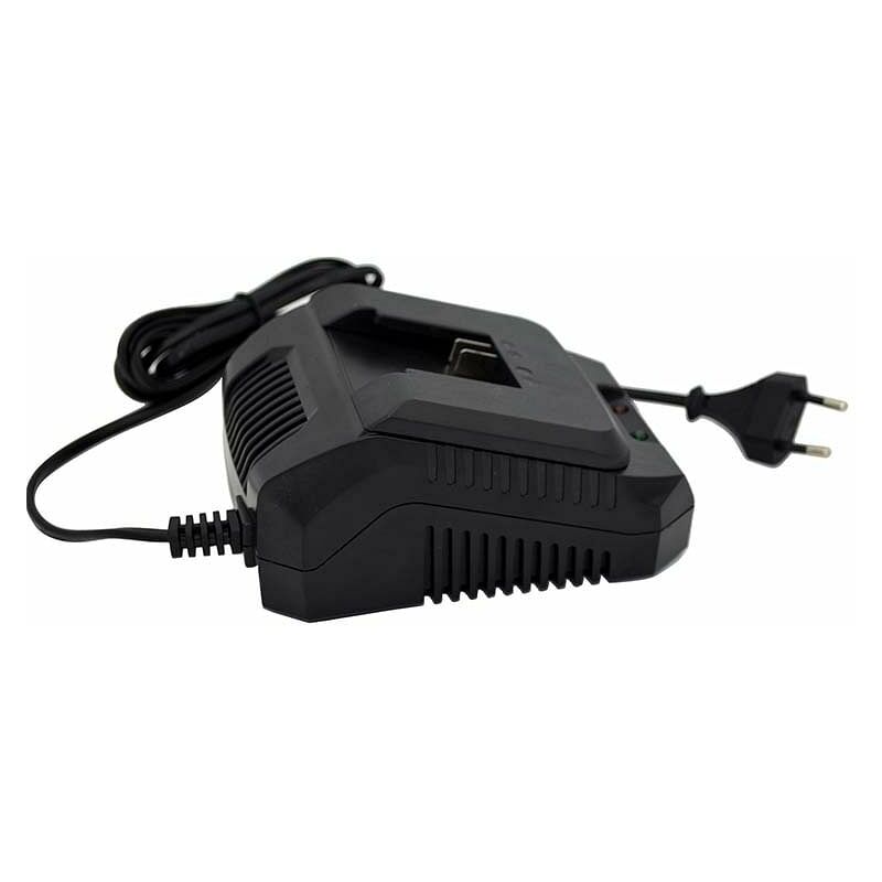 foto del prodotto newton caricabatteria 2-4 am