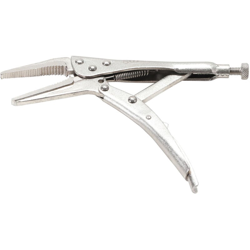 foto del prodotto nipple a filo lungo 170 mm fins bgs technic