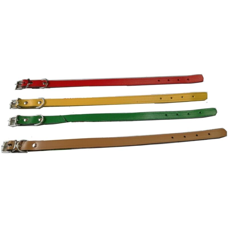 foto del prodotto no brand collare in cuoio per cani cane cm 56x3 collarino colori assortiti