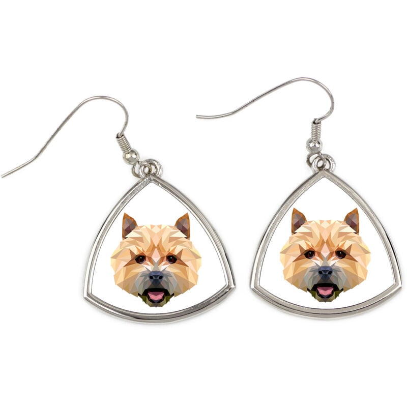 foto del prodotto norwich terrier - orecchini con foto e scritta cane geometrico art-dog