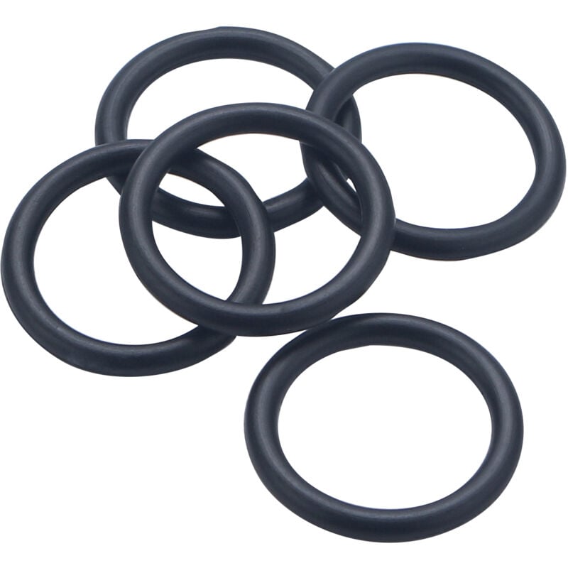 foto del prodotto noyon thiebault guarnizione o ring nbr70, 16,90x2,70 r13 , 5 pezzi
